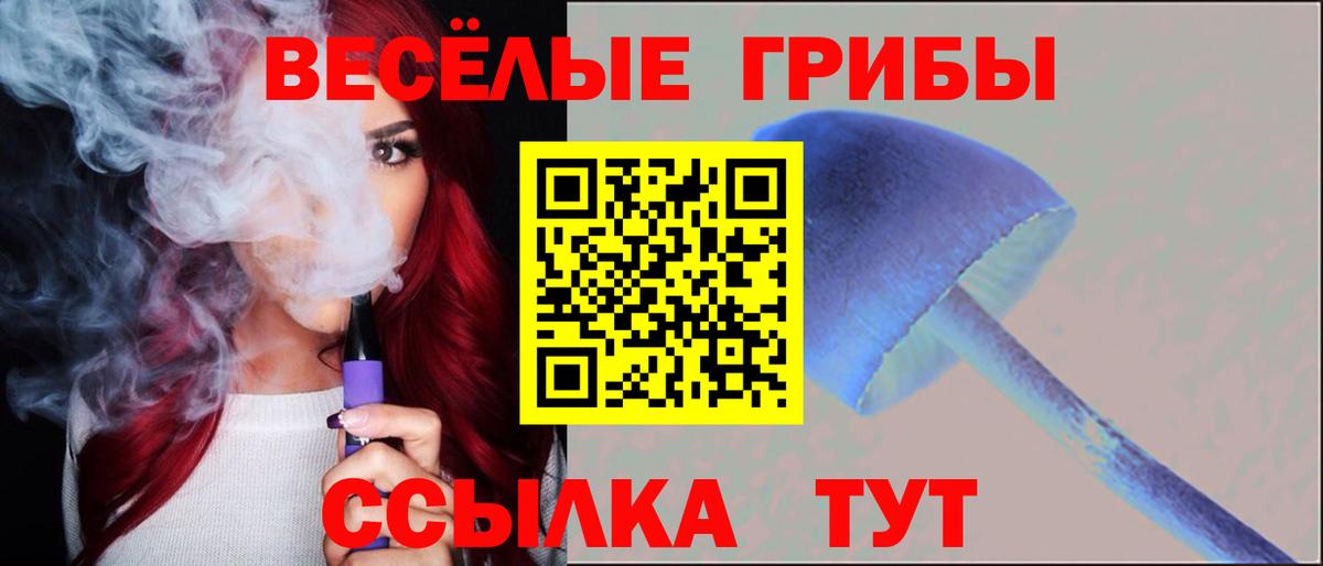 Галлюциногенные грибы ЛСД Киселёвск