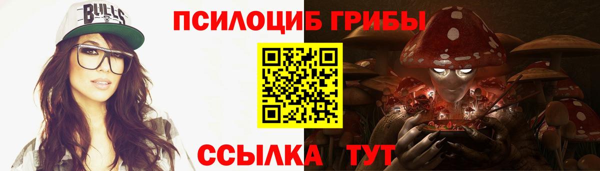 Киселёвск  хочу   Вход с VPN  Галлюциногенные грибы мухоморы 